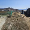 미도농장 이미지