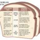 자유빵집 이미지