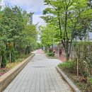 숲 이미지