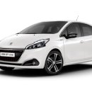 제리모터스 이미지