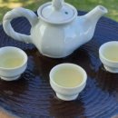 제주다(茶)음
