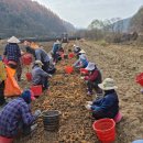 일손인력 브레이크뉴스