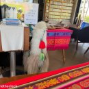 수원시 팔달구 창룡대로80번길 이미지