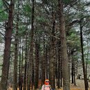 수리산둘레길 이미지