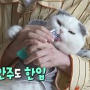복조리만두 이미지