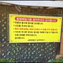 메밀가 이미지