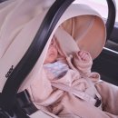 맥스시스템 | 신생아카시트부터 어린이카시트까지 한 번에, 시크 맥스 아이리스 모듈러시스템 솔직 후기