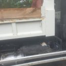 현대크리닝상사 이미지