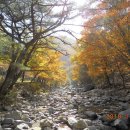 김명자굴국밥전문점 이미지