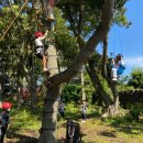 표선초등학교 병설유치원 이미지