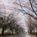 정수수산 이미지