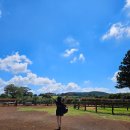 말티목장 | *[아이와제주여행+5]제주 어린이 승마체험 목장카페 밭디 후기!