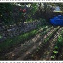 하서원 민박 이미지