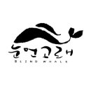 지스테이하우스 | [제주도렌탈하우스, 제주도숙박, 독채펜션] 눈먼고래, 하늘에서 내려다 보다.