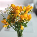 서구-27 | [임신 27주 기록] 헤이든스튜디오 서구점과 함께한 만삭 홈스냅 촬영! 만삭 홈스냅 준비 Tip⭐️