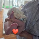 세종특별자치시보건소 | 신생아 산후도우미👶정부지원금*세종산후관리센터 후기 ep.3