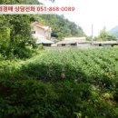 지수면-3 이미지