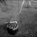 백년지기 이미지