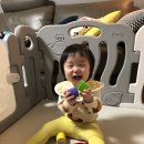 아기밥상 이미지