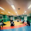 쌍용키즈태권도 이미지