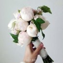 커피를사랑한소믈리애 - 75595 | 요즘 내가 사는 일상♡