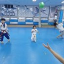 천하태권도장 이미지