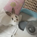 김정형외과의원 | 내성발톱 찐으로 없애는 법 !!