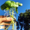 수경이네 세탁소 이미지