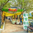 뚝방가든 이미지