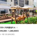 티파니온수풀빌라 T동 | 대부도 단체펜션 단체풀빌라 방7개 화장실3개 사계절온수풀 티파니 풀펜션 독채풀빌라