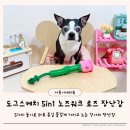 스케치 | 강아지 노즈워크 장난감 도그스케치 5in1 로즈 강아지 삑삑이 후기