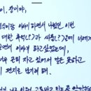 (주)미디어메이트 | 지볶행 최종회 정숙의 눈물 백합 영식의 불화와 4기 영수의 뒤늦은 깨달음 시즌2 정보