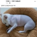 백나예김밥 이미지