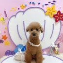 동이몽이 이미지