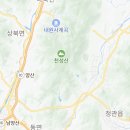 바닐라타바코
