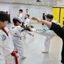 용인대 안산 타이거즈 태권도장 이미지