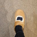 털이몽땅 | 어그 매장 방문기 메리제인, 타스만, 타젤 몽땅 신어보기