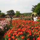 장미원입구 이미지