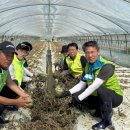 논산농협주유소 이미지