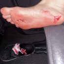 플레이보이노래연습장 이미지