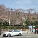 진해중앙고삼거리 이미지