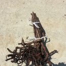 부실농장 이미지