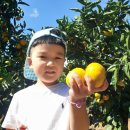 정인목장 이미지