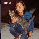 케이9모텔 이미지