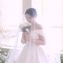 해운대우체국및수련원 | [스냅506 웨딩영상촬영] 부산 해운대 센텀호텔 카카오홀 본식DVD 스냅506 샘플영상들