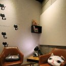 ZOO동물병원 이미지