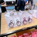 더스시투어 이미지