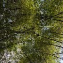 란나레스토랑 | 치앙마이 올드타운 맛집 5성급 리조트 타마린드 빌리지 레스토랑