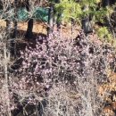 광일주유소 이미지