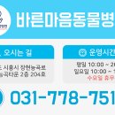 내마음의동물병원 이미지